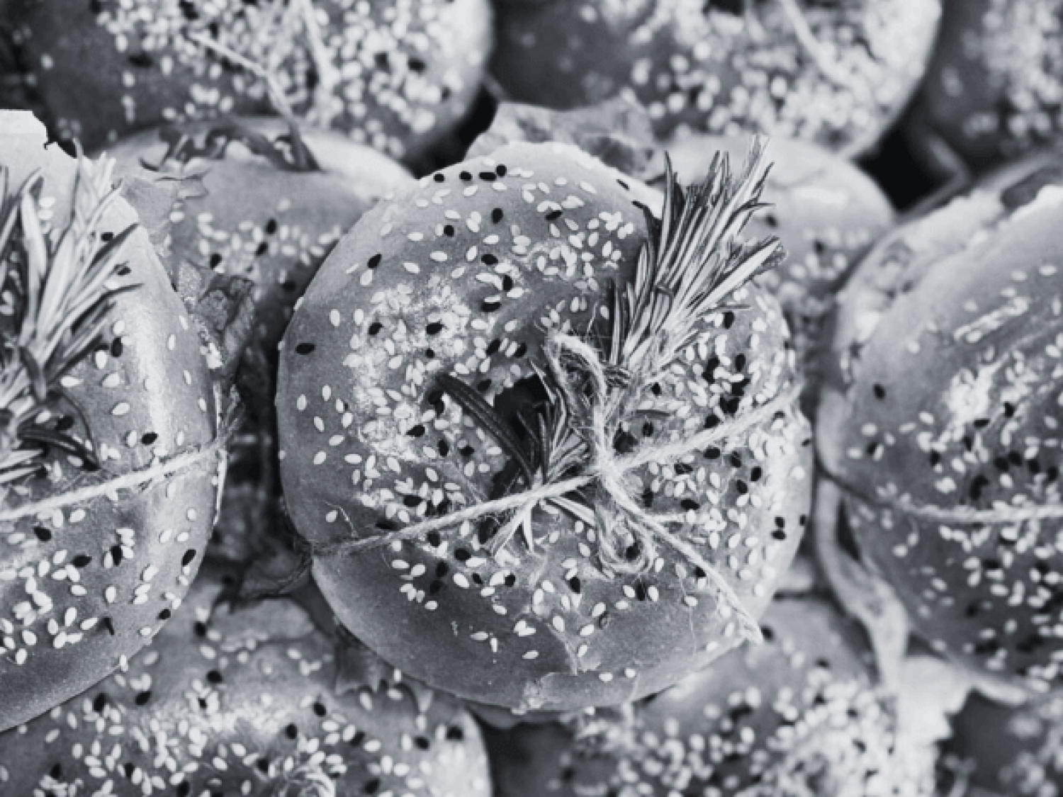 EXOGN : Agence SEO Et Sites Web Au Perreux-sur-Marne