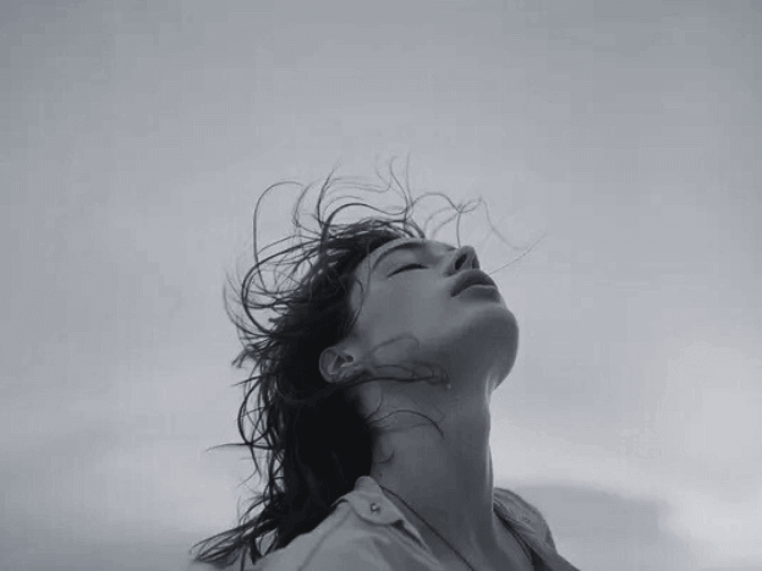 EXOGN : Agence SEO Et Sites Web Au Perreux-sur-Marne