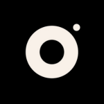 EXOGN : Agence SEO Et Sites Web Au Perreux-sur-Marne