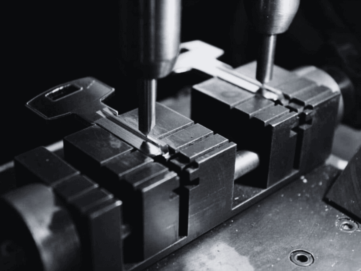 EXOGN : Agence SEO Et Sites Web Au Perreux-sur-Marne